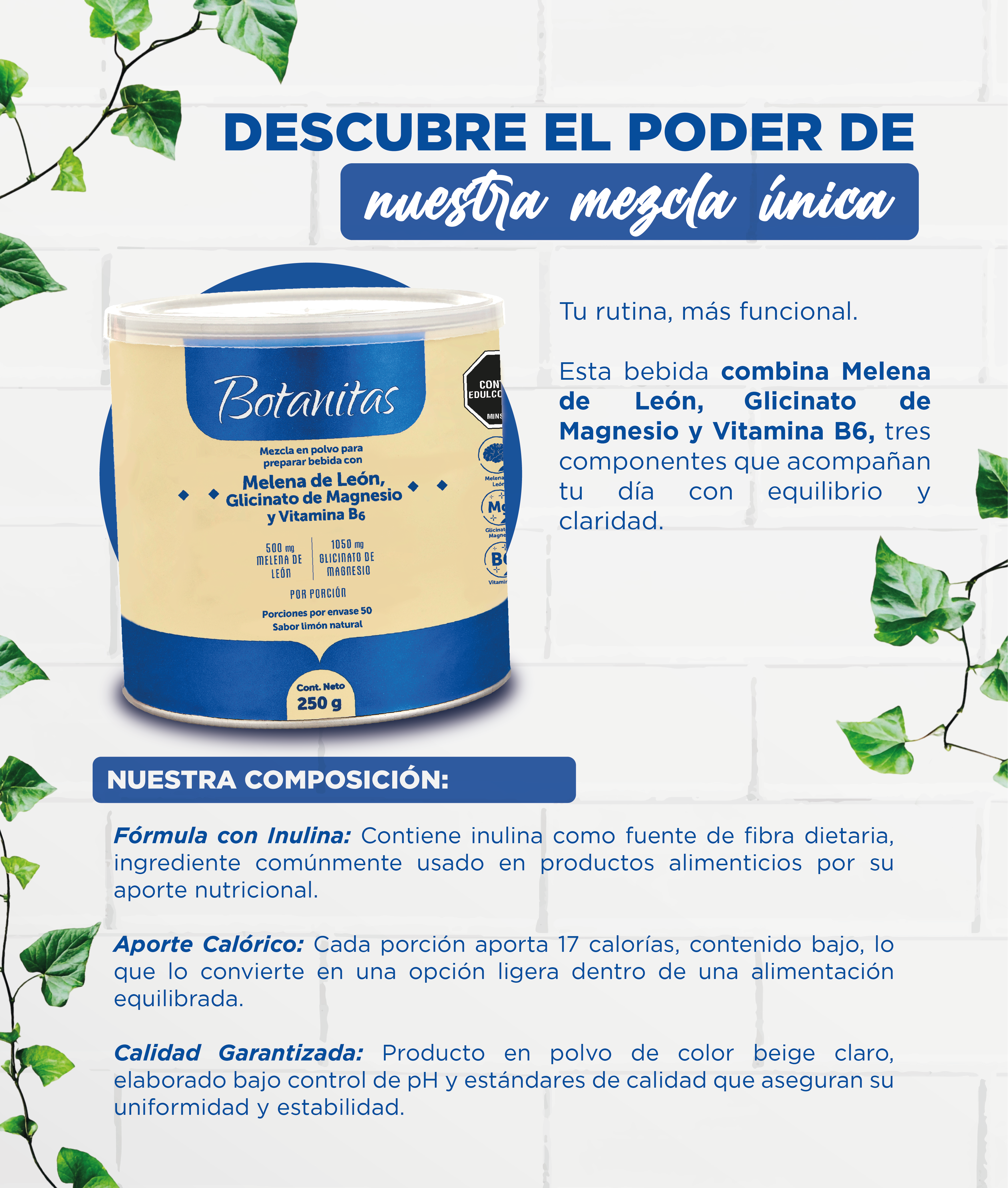 Glicinato de Magnesio con Melena de Leon