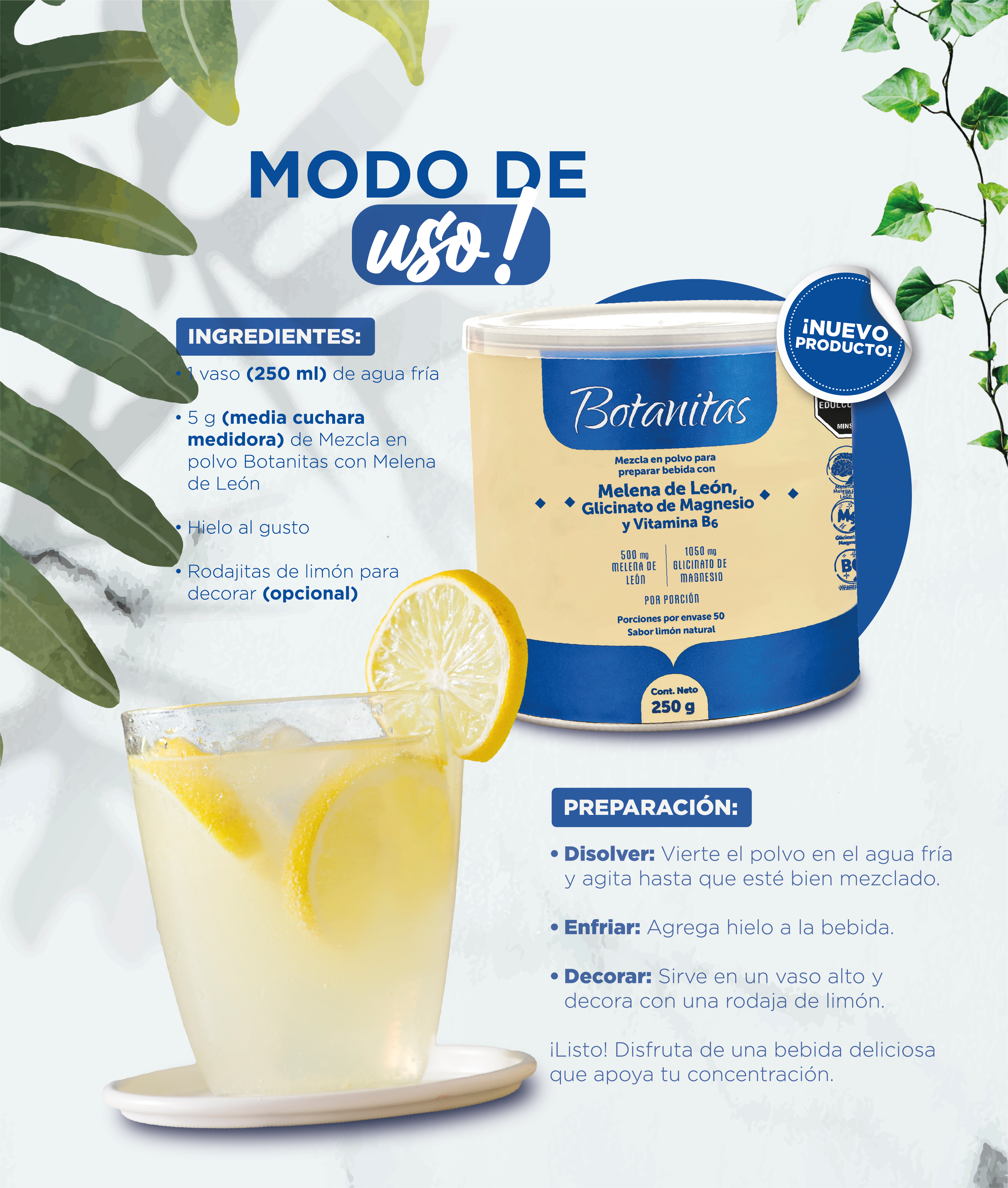 Glicinato de Magnesio con Melena de Leon